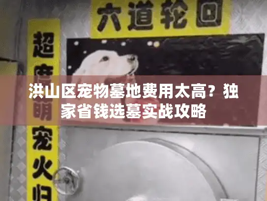 洪山区宠物墓地费用太高？独家省钱选墓实战攻略