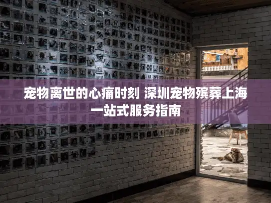 宠物离世的心痛时刻 深圳宠物殡葬上海一站式服务指南