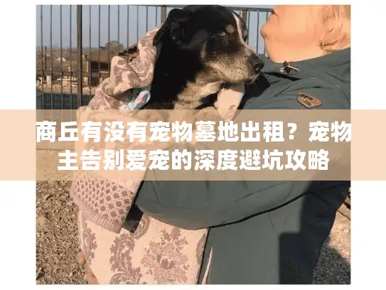 商丘有没有宠物墓地出租？宠物主告别爱宠的深度避坑攻略