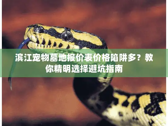 滨江宠物墓地报价表价格陷阱多？教你精明选择避坑指南
