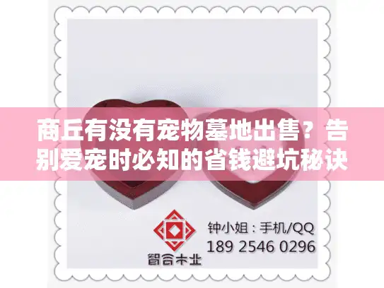 商丘有没有宠物墓地出售？告别爱宠时必知的省钱避坑秘诀