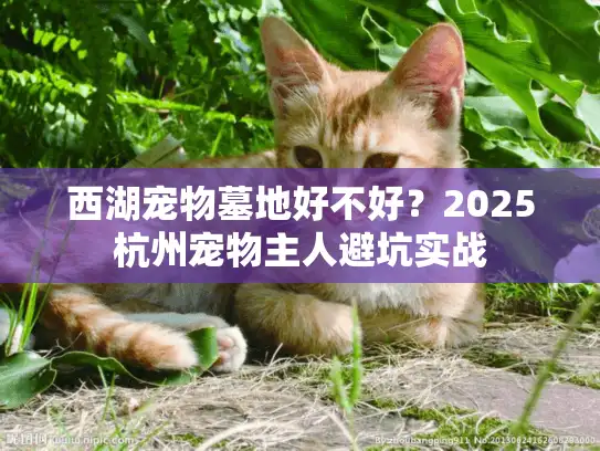 西湖宠物墓地好不好？2025杭州宠物主人避坑实战