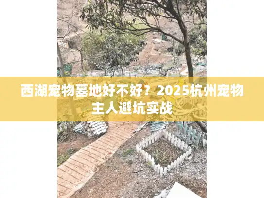 西湖宠物墓地好不好？2025杭州宠物主人避坑实战