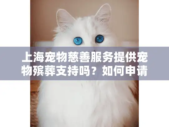 上海宠物慈善服务提供宠物殡葬支持吗？如何申请？