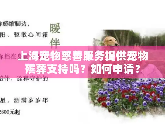 上海宠物慈善服务提供宠物殡葬支持吗？如何申请？