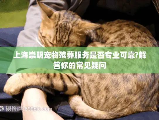 上海崇明宠物殡葬服务是否专业可靠?解答你的常见疑问