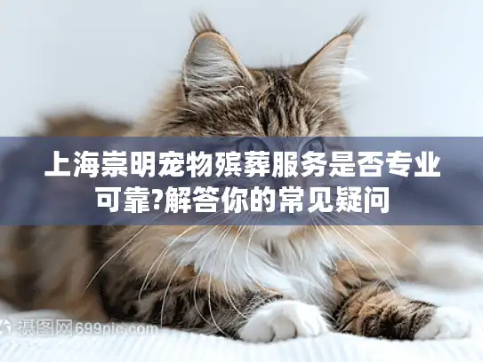 上海崇明宠物殡葬服务是否专业可靠?解答你的常见疑问