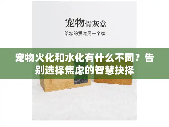 宠物火化和水化有什么不同？告别选择焦虑的智慧抉择