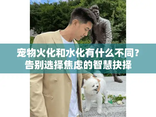 宠物火化和水化有什么不同？告别选择焦虑的智慧抉择