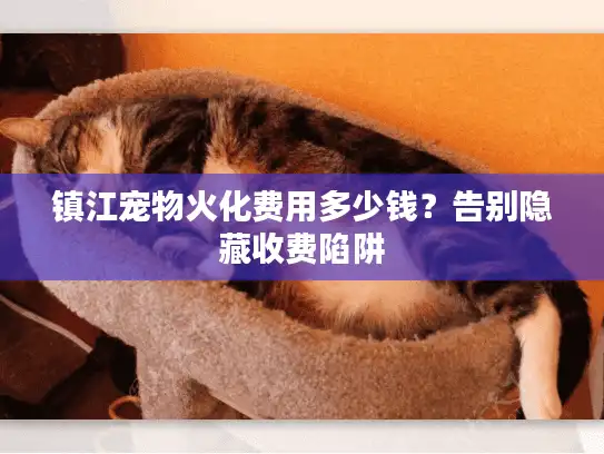 镇江宠物火化费用多少钱？告别隐藏收费陷阱