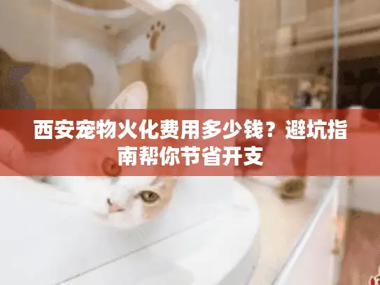 西安宠物火化费用多少钱？避坑指南帮你节省开支