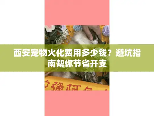 西安宠物火化费用多少钱？避坑指南帮你节省开支