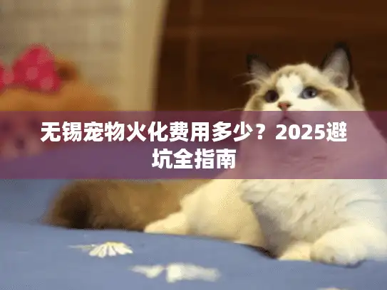 无锡宠物火化费用多少？2025避坑全指南