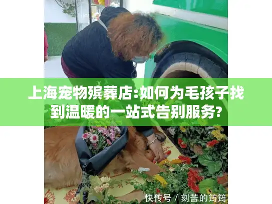 上海宠物殡葬店:如何为毛孩子找到温暖的一站式告别服务?