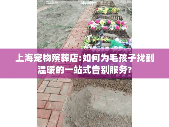 上海宠物殡葬店:如何为毛孩子找到温暖的一站式告别服务?