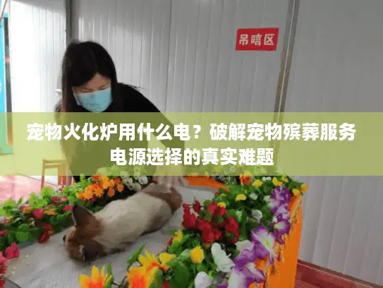 宠物火化炉用什么电？破解宠物殡葬服务电源选择的真实难题