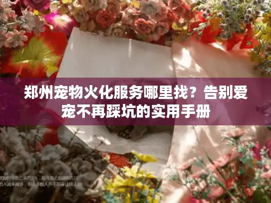 郑州宠物火化服务哪里找？告别爱宠不再踩坑的实用手册