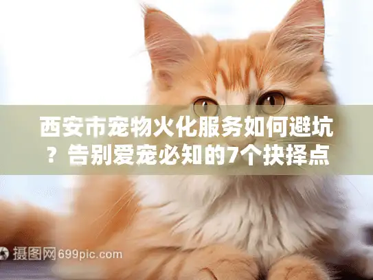 西安市宠物火化服务如何避坑？告别爱宠必知的7个抉择点