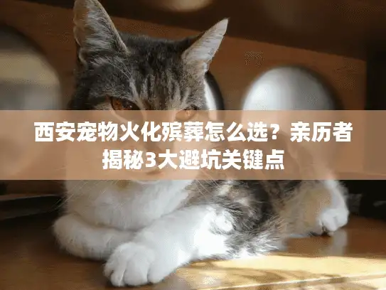 西安宠物火化殡葬怎么选？亲历者揭秘3大避坑关键点