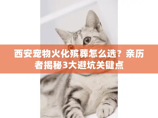 西安宠物火化殡葬怎么选？亲历者揭秘3大避坑关键点