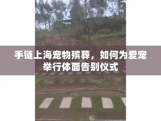 手链上海宠物殡葬，如何为爱宠举行体面告别仪式