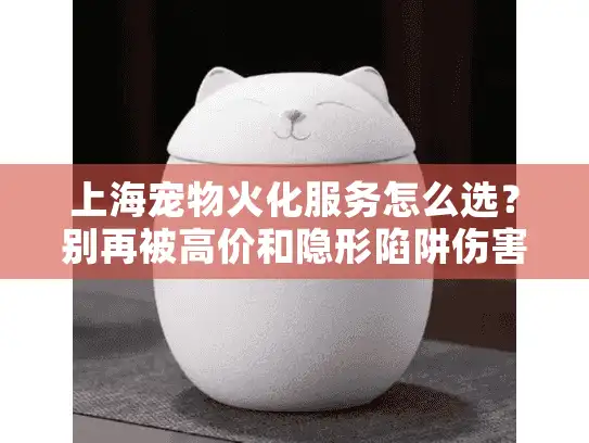 上海宠物火化服务怎么选？别再被高价和隐形陷阱伤害！