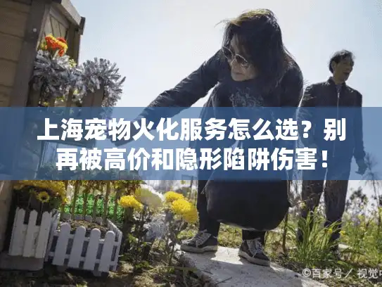 上海宠物火化服务怎么选？别再被高价和隐形陷阱伤害！