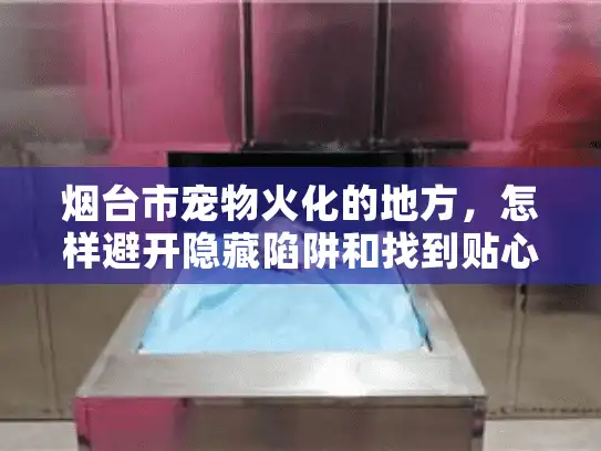 烟台市宠物火化的地方，怎样避开隐藏陷阱和找到贴心服务？