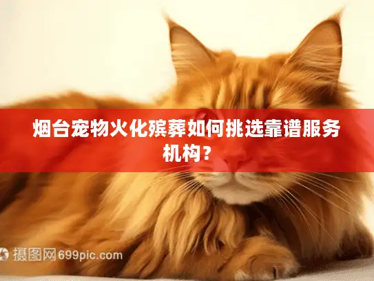 烟台宠物火化殡葬如何挑选靠谱服务机构？