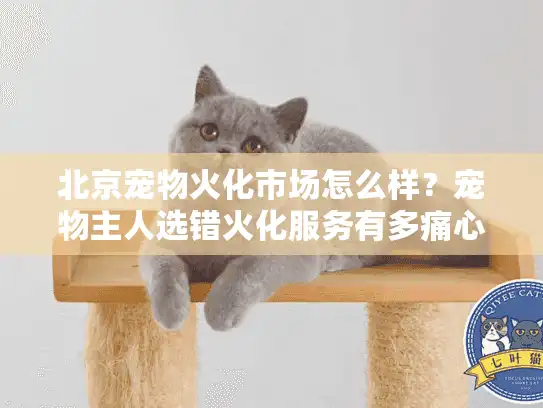 北京宠物火化市场怎么样？宠物主人选错火化服务有多痛心