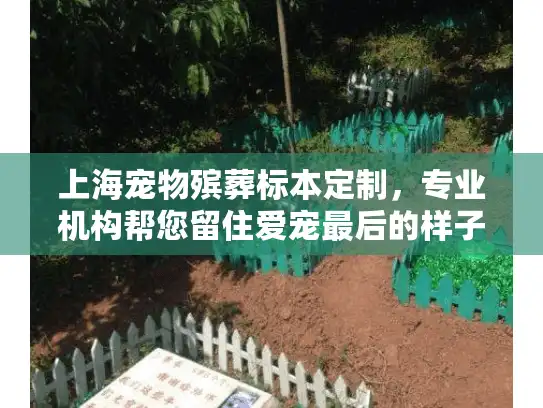 上海宠物殡葬标本定制，专业机构帮您留住爱宠最后的样子