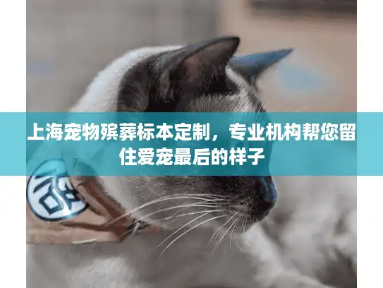 上海宠物殡葬标本定制，专业机构帮您留住爱宠最后的样子