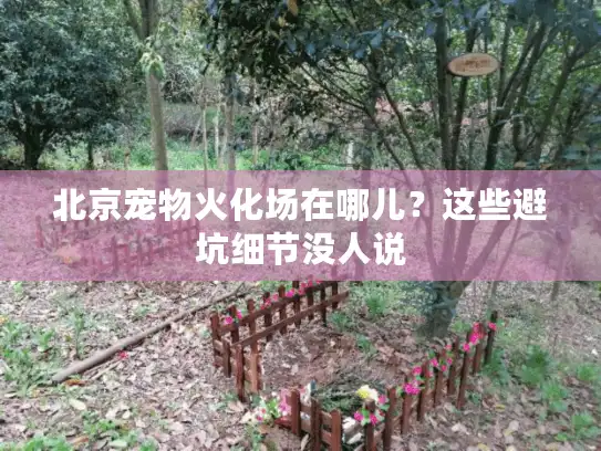 北京宠物火化场在哪儿？这些避坑细节没人说