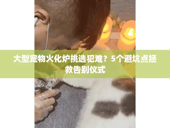 大型宠物火化炉挑选犯难？5个避坑点拯救告别仪式