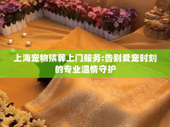 上海宠物殡葬上门服务:告别爱宠时刻的专业温情守护
