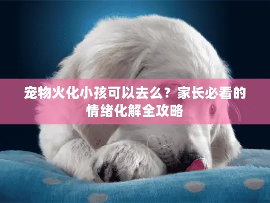 宠物火化小孩可以去么？家长必看的情绪化解全攻略