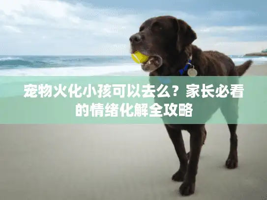 宠物火化小孩可以去么？家长必看的情绪化解全攻略