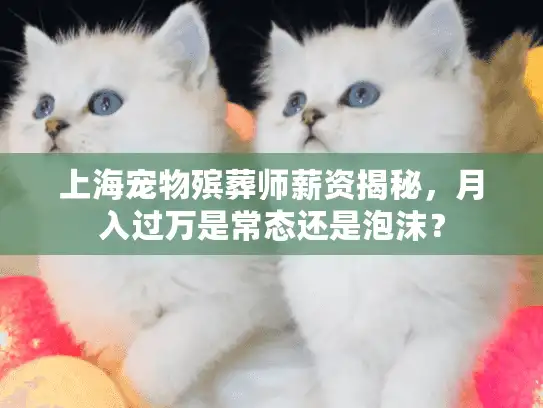 上海宠物殡葬师薪资揭秘，月入过万是常态还是泡沫？