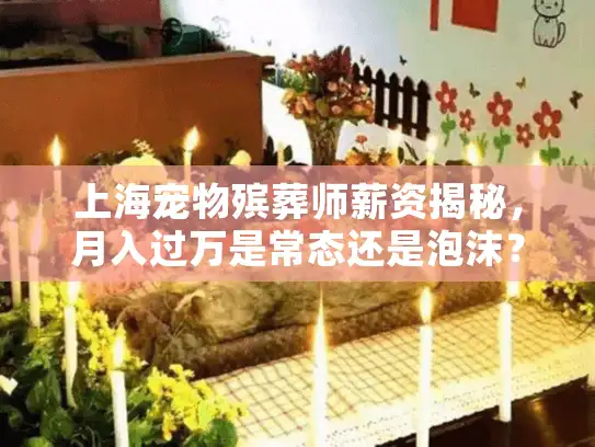 上海宠物殡葬师薪资揭秘，月入过万是常态还是泡沫？