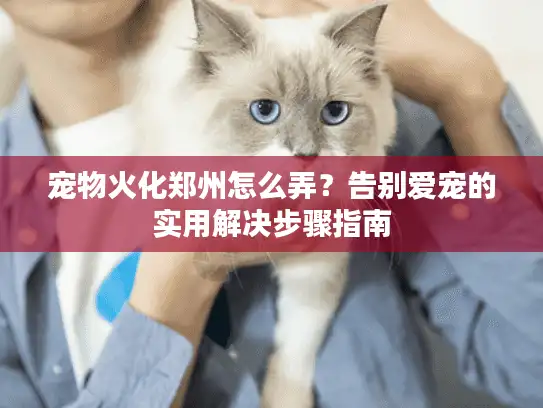 宠物火化郑州怎么弄？告别爱宠的实用解决步骤指南