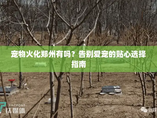 宠物火化郑州有吗？告别爱宠的贴心选择指南