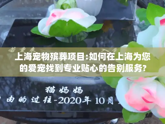 上海宠物殡葬项目:如何在上海为您的爱宠找到专业贴心的告别服务?