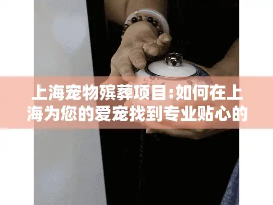 上海宠物殡葬项目:如何在上海为您的爱宠找到专业贴心的告别服务?