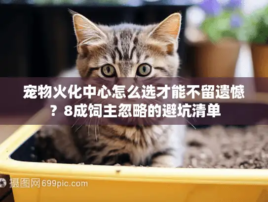 宠物火化中心怎么选才能不留遗憾？8成饲主忽略的避坑清单