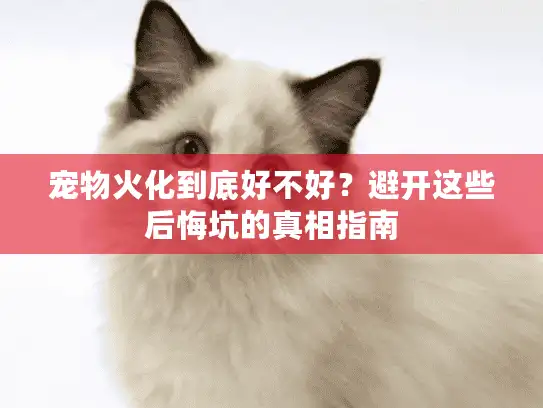 宠物火化到底好不好？避开这些后悔坑的真相指南
