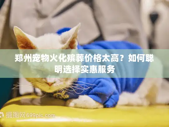 郑州宠物火化殡葬价格太高？如何聪明选择实惠服务