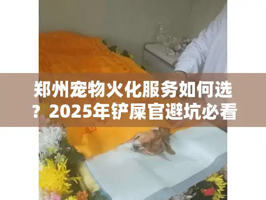 郑州宠物火化服务如何选？2025年铲屎官避坑必看5大铁律