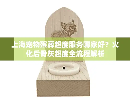 上海宠物殡葬超度服务哪家好？火化后骨灰超度全流程解析