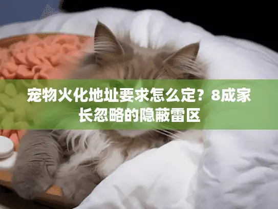 宠物火化地址要求怎么定？8成家长忽略的隐蔽雷区