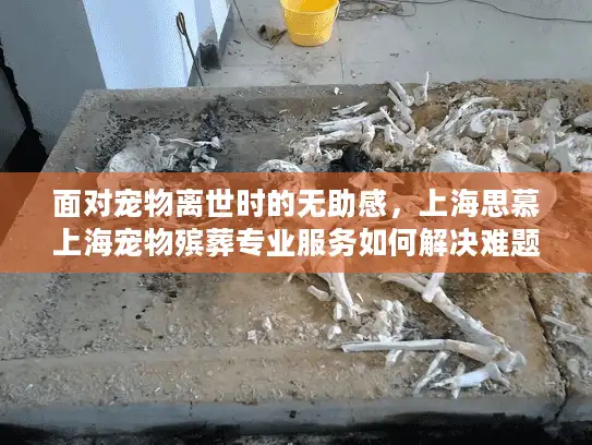 面对宠物离世时的无助感，上海思慕上海宠物殡葬专业服务如何解决难题